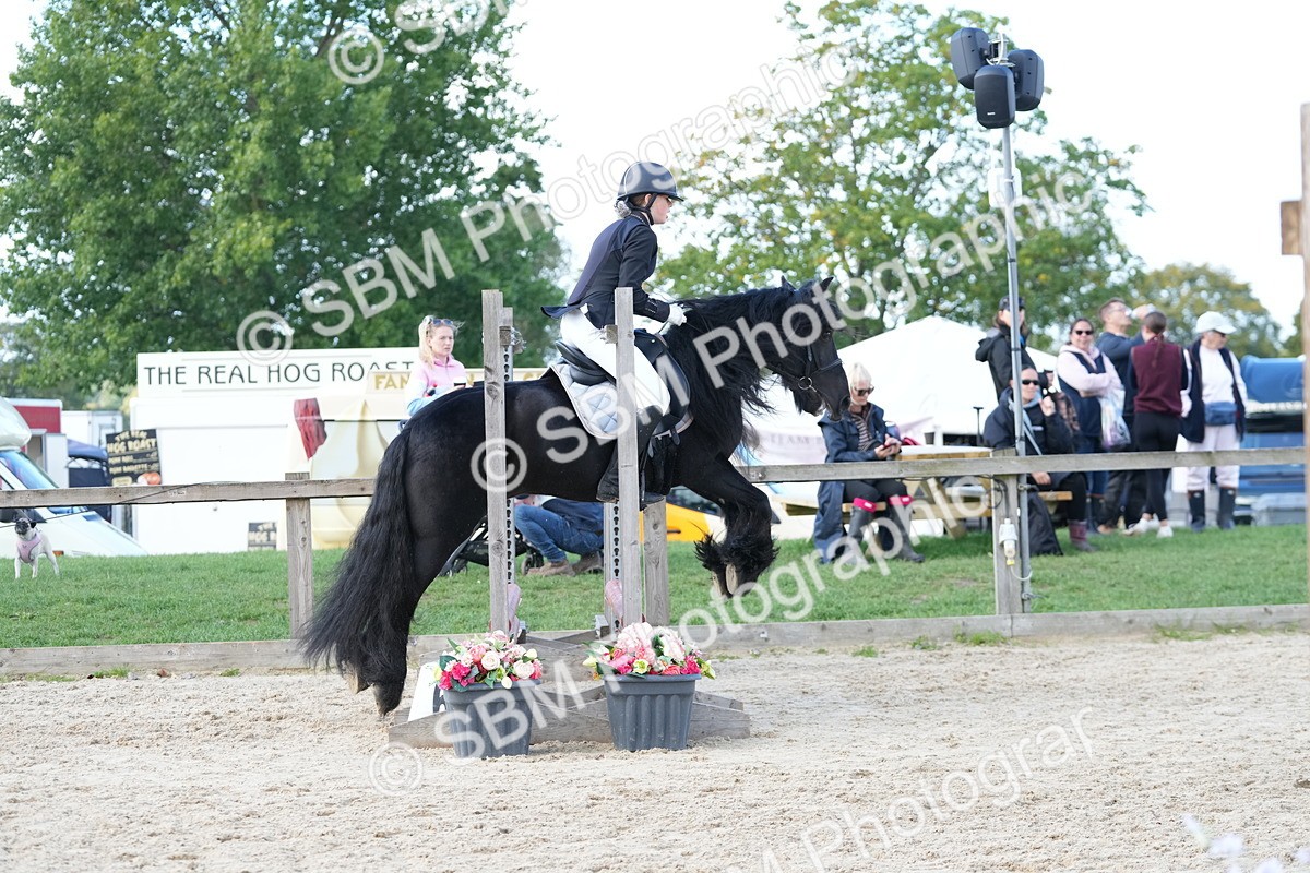 SBM_17912 - J58 - Clear Round 50cm
