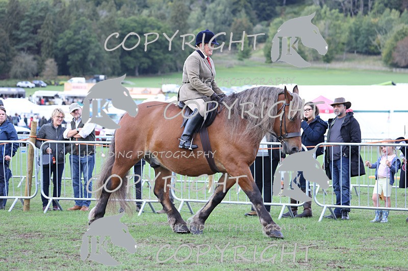 APP_3631 - Class 8 Ridden Class