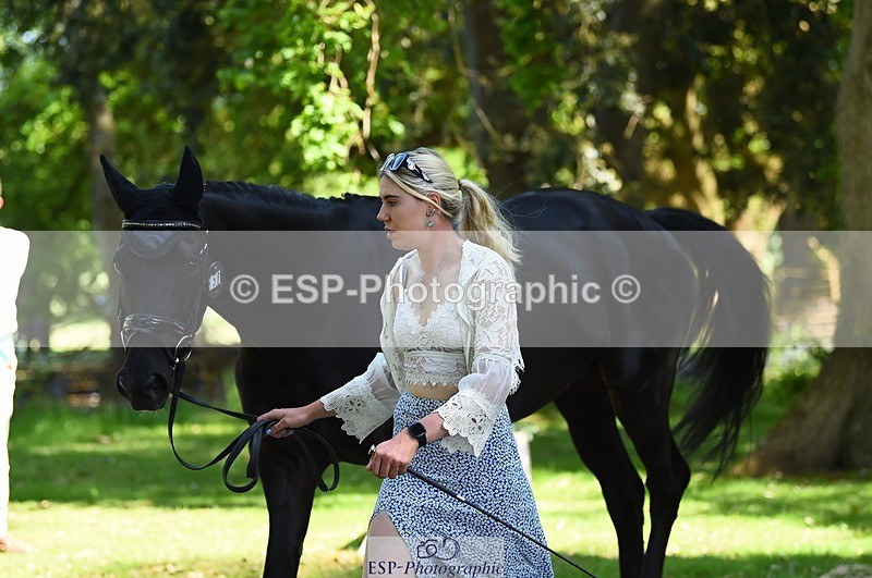 230524-153316-00351 - 358-EQUADOR_MW-Toots_Bartlett-WEDTrotUp+DR