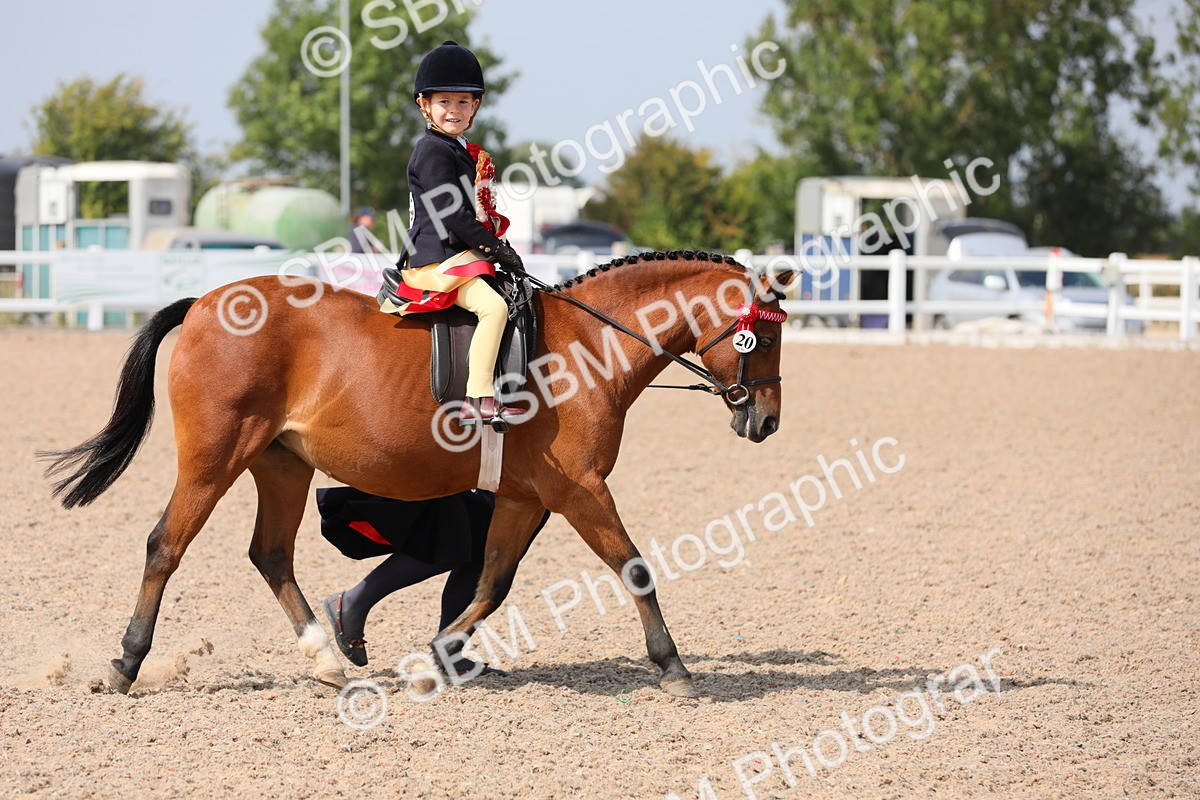 SBM_14129 - Class 309 Lead Rein Pony