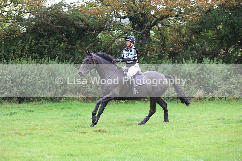 JPP_5401 - Class 4: 80cm: Crossed Logs