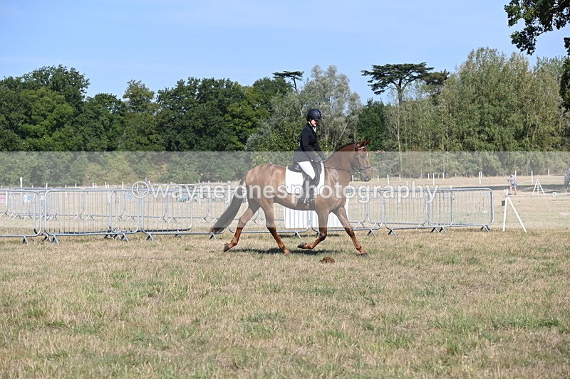 WJ6_7219 - Class 33 Rescue Pony