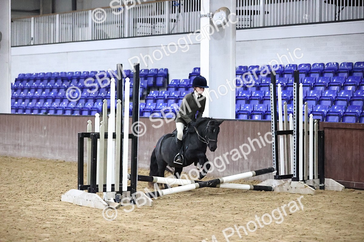 SBM_000025 - Class 1 - Fox Farriers 30cm