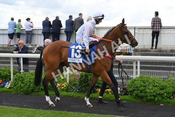 yr11062022r5-8 - Race 5 3.40pm The Pavers Foundation Catherine Memorial Sprint Stakes