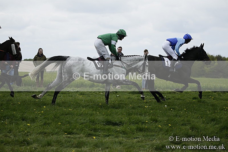 PtP 170417 85 - Old Berks Point-to-Point Lockinge 17/04/17