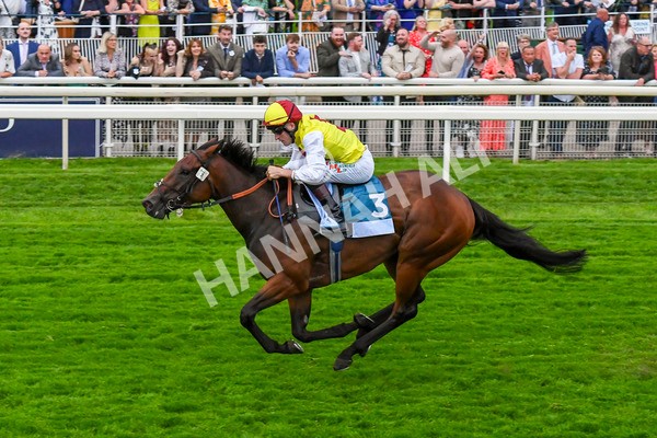 280723-Race 7-Knebworth-0801 - Race 7 8.20pm Sky Bet Go-Racing-In-Yorkshire Summer Festival Handicap