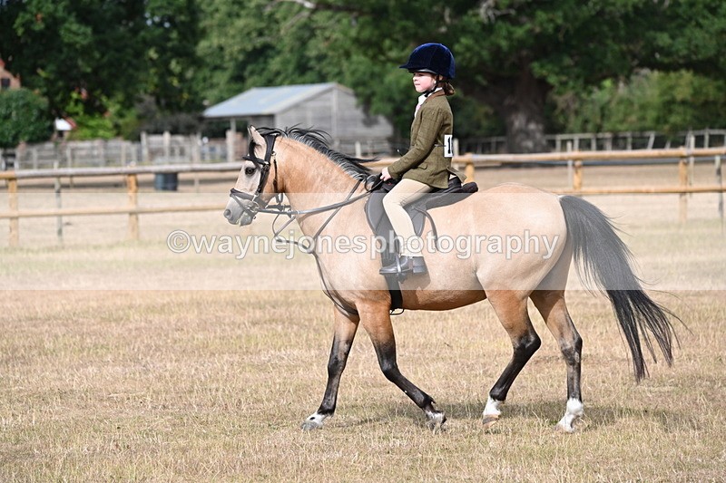 WJ6_7469 - Class 9 Tack and Turnout