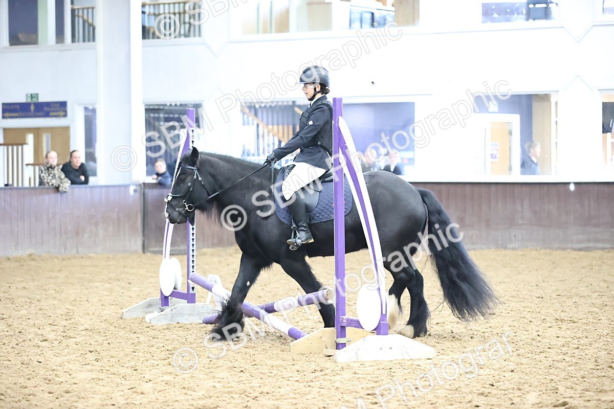 SBM_000183 - Class 2 - The Rug Lady 40cm Area 12 Championship Qualifier