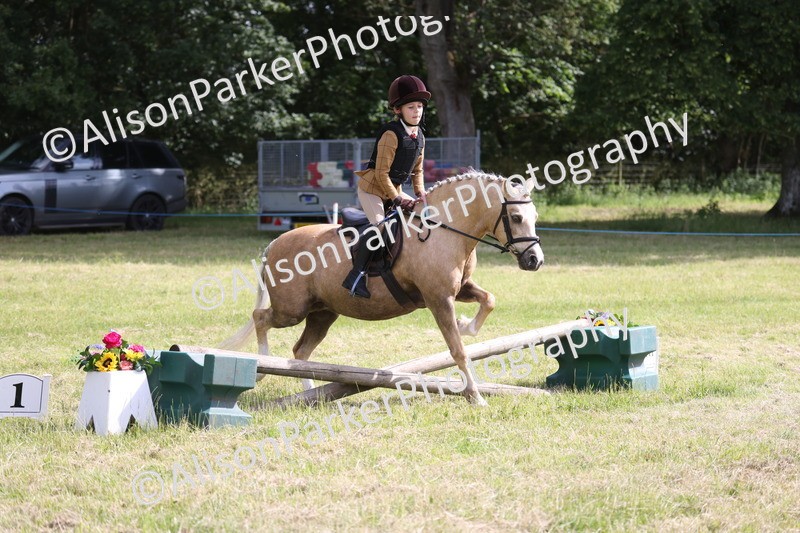 20260614-0447 - Class 20 - Beginners Working Hunter Pony