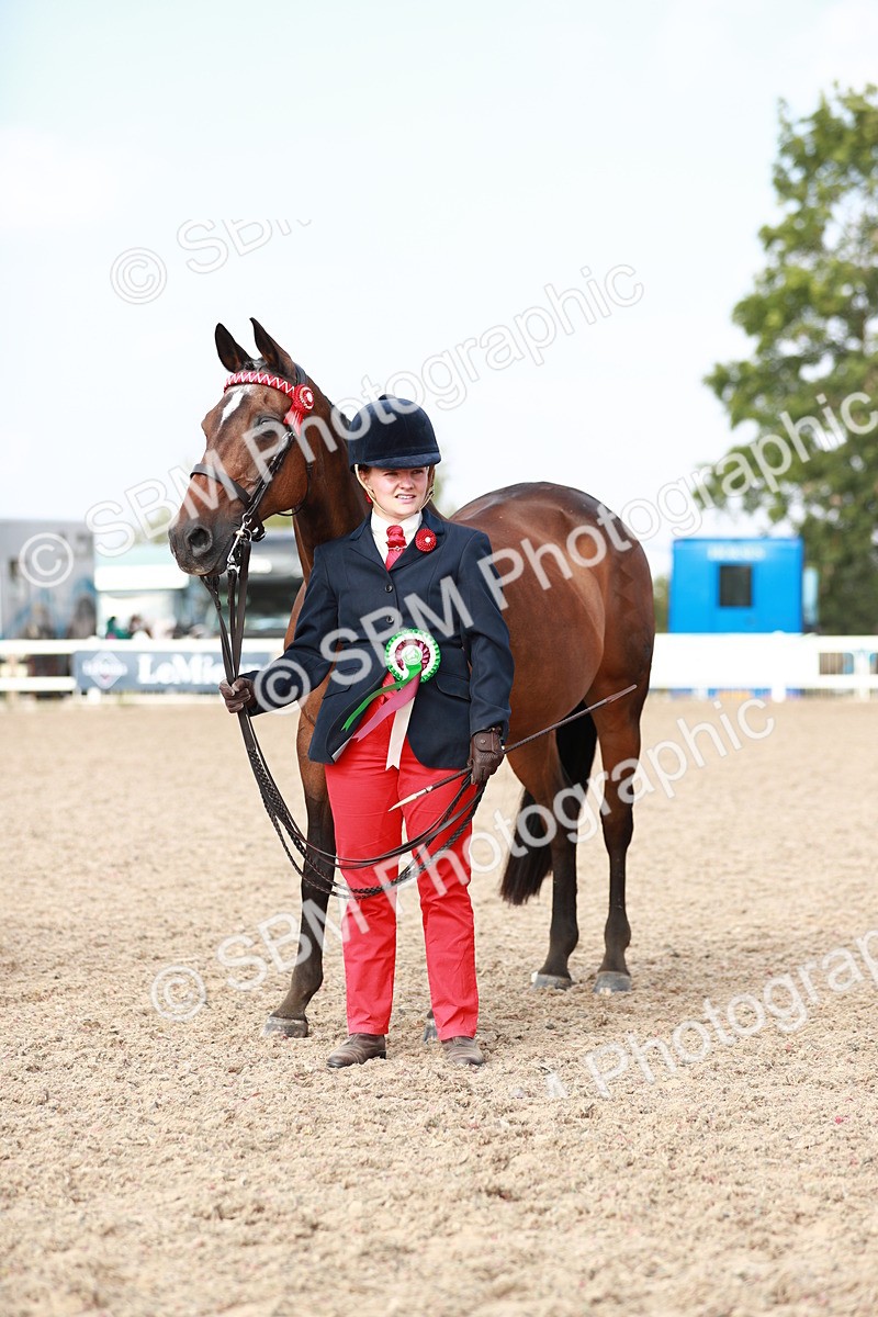 SBM_11131 - Class 205 IH Show Pony/ Show Hunter Pony