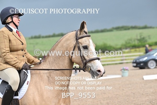 BPP_9553 - 12 K MCKIE