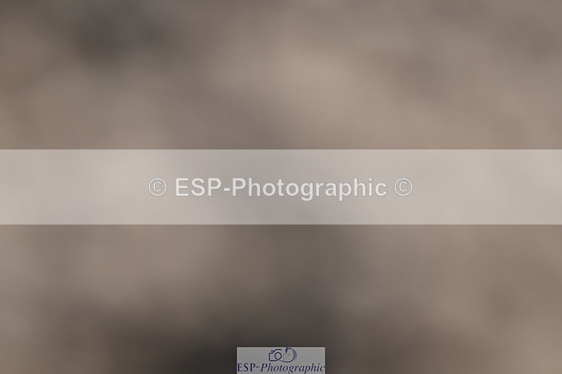 250301-095748-00142 - 70cm