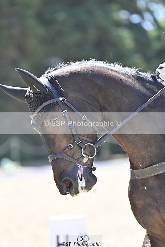 250522A-112439-03094 - B-319-Ali.Wilkes-JAZZ.ROOS