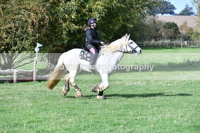 WJ5_7900 - Time 10:31 to 12:01