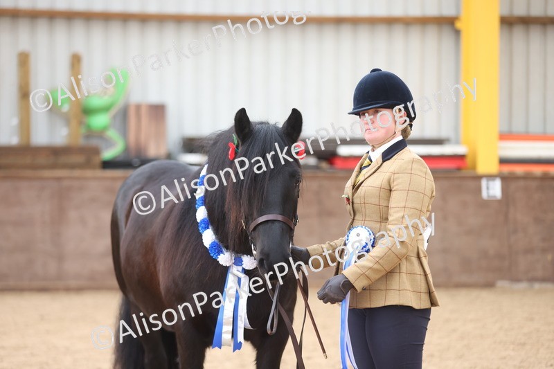 20251109-1249 - Supreme Championship