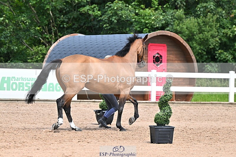 240718A-105304-01519 - Trot Up 12pm to 1pm