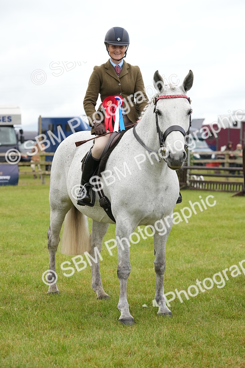 SBM_12861 - Class 97-98 - LIHS BSHA Rising Star Working Show Horse Hunter