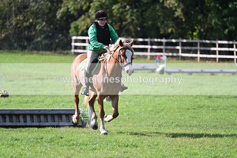 WJ7_3474 - 40cm Time 10:08 to 10:25