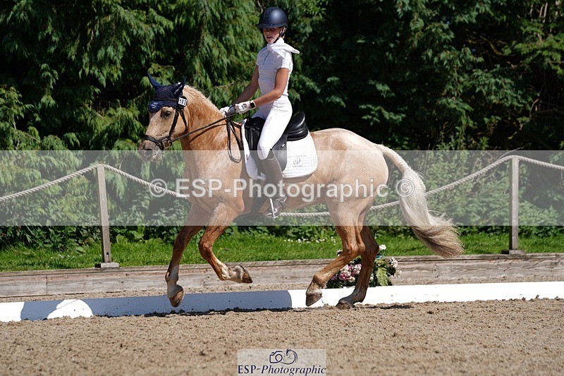 240719-154734-02771 - 103-Elissa_Franks-Golden_queen