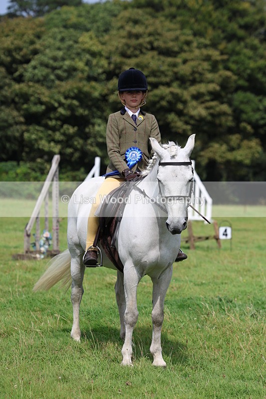 3E7A5921 - Class 26 and 27: 70cm Working Hunter