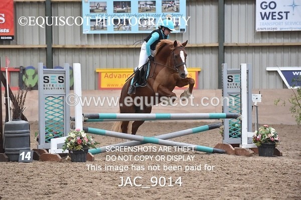 JAC_9014 - CLASS 4 - ARENA EVENTING PONY CLUB QUALIFIER 80CM