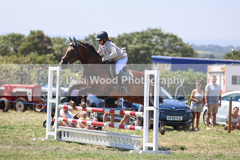3E7A4349 - Class 10: Senior British Novice/90cm open