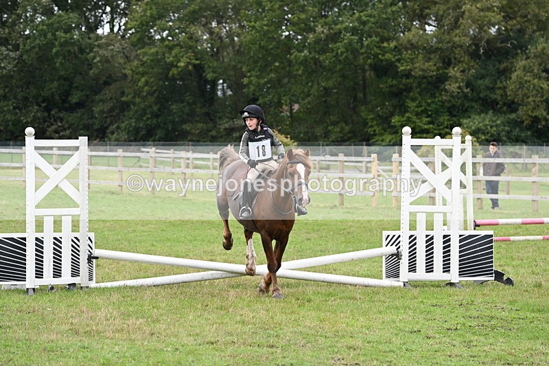 WJ6_0280 - 40cm Time 10:00 to 10:28