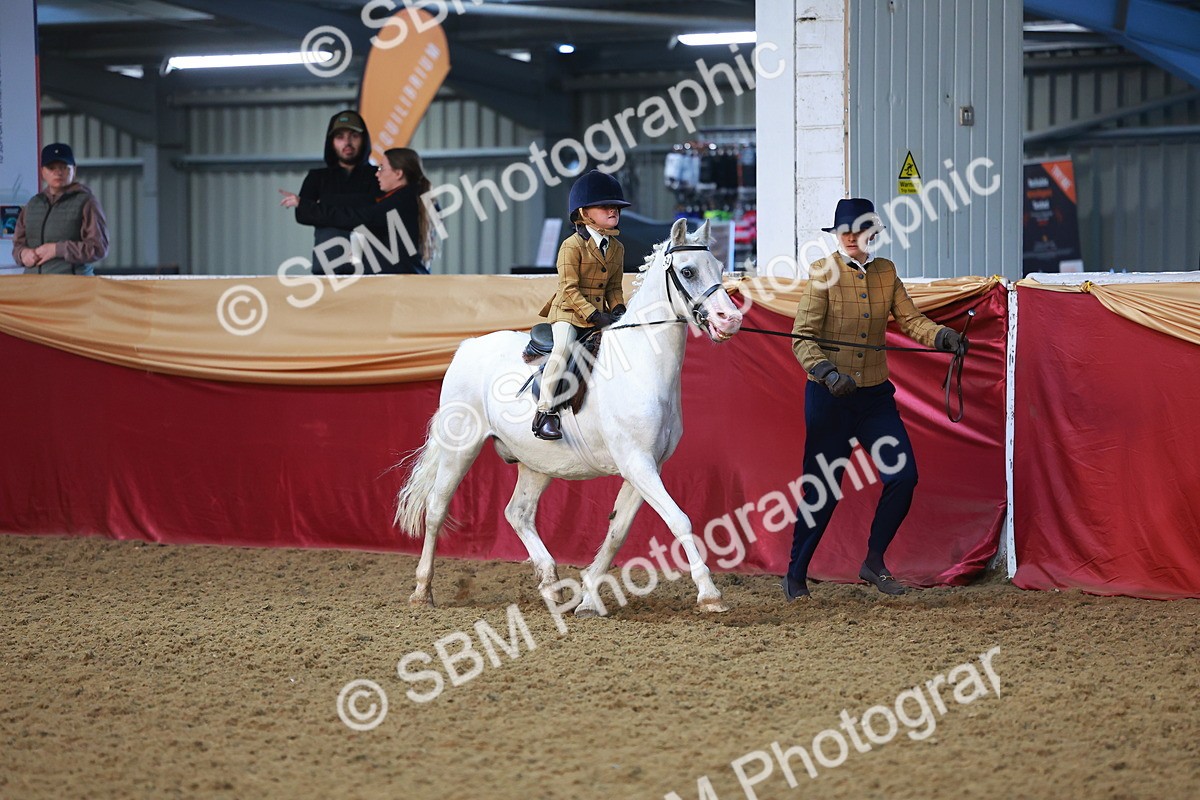 SBM_07660 - Class 101 - HOYS Veteran Qualifier - Ridden Diamond