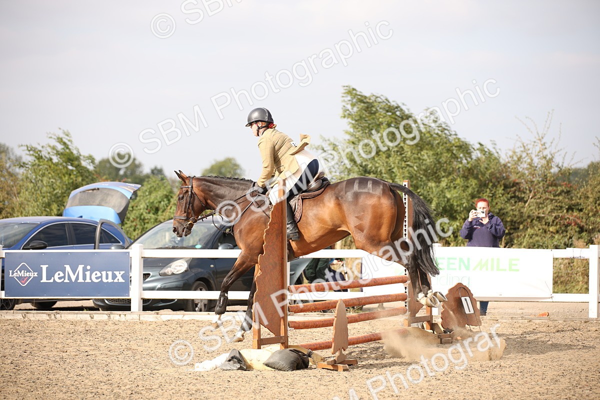 SBM_17285 - Class 410a - Wor5king Veteran 90cm (15-19)