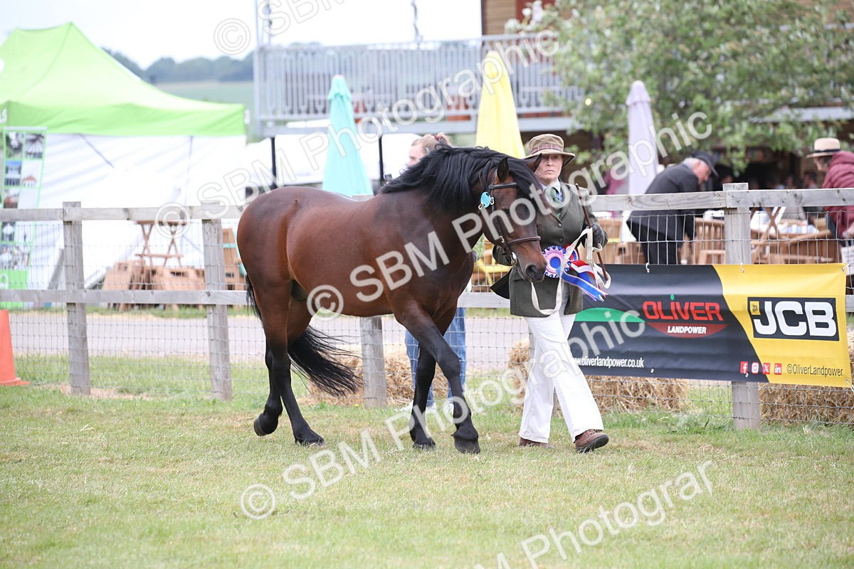 SBM_09721 - Ch 50 - Price Family Supreme In Hand