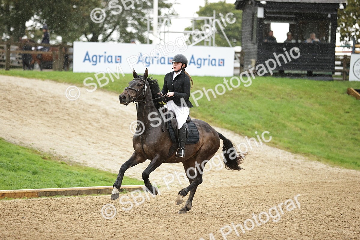 SBM_33151_J38 Senior Horse and Pony 80cm Championship - Dolcie Mae Ivison