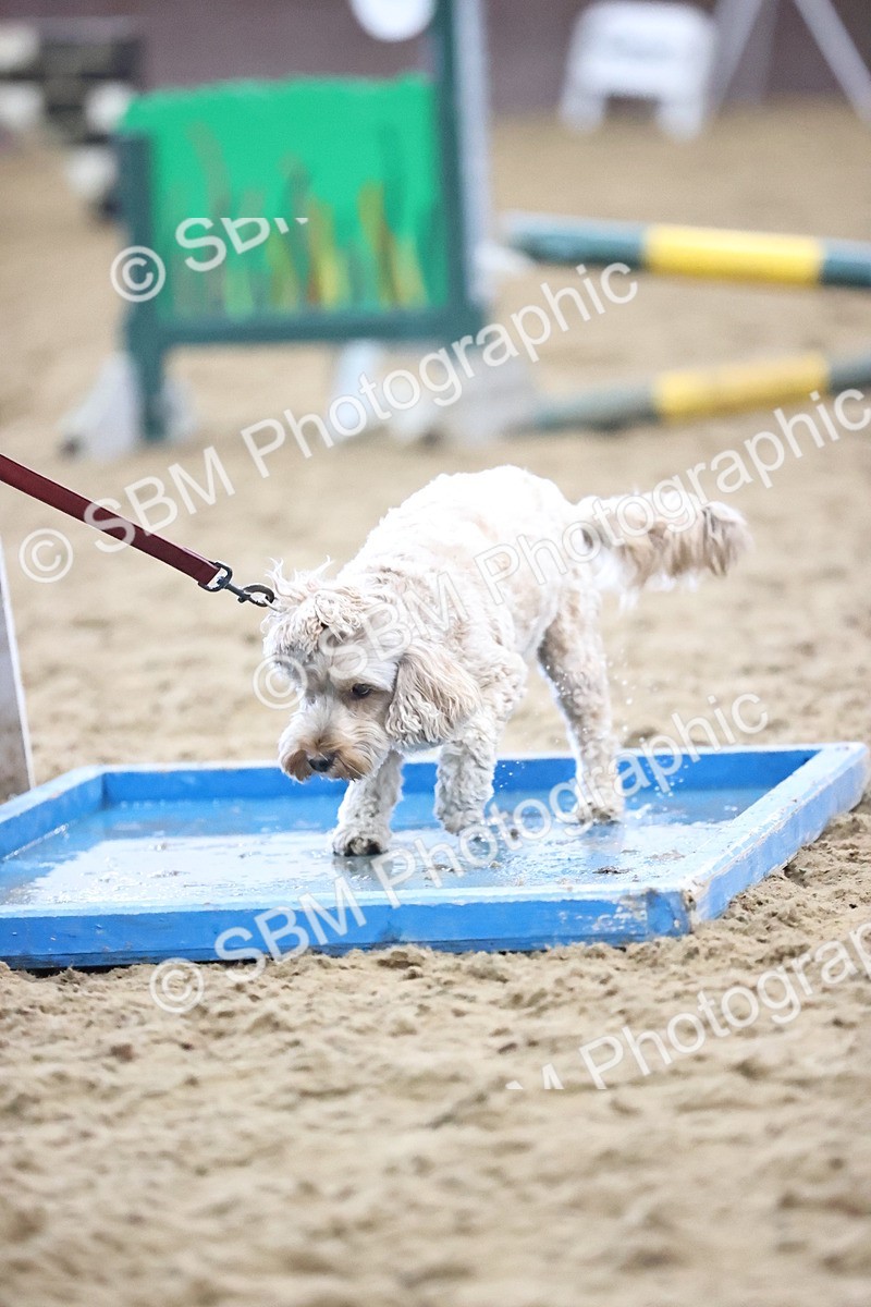 SBM_001634 - Class 3 - Horse & Hound 60cm