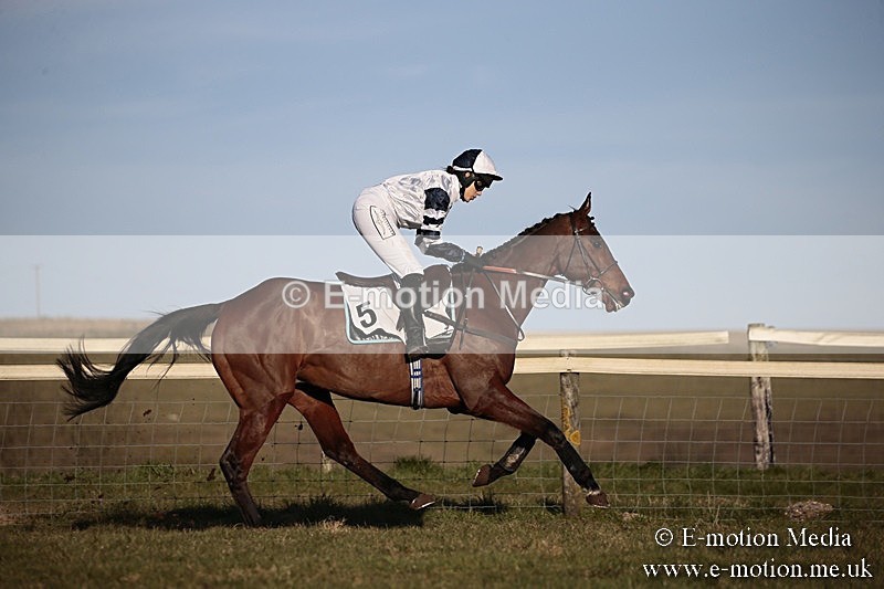 PtP 240218 667 - Vine & Craven Hunt Point-to-Point Barbury racecourse 24/02/18