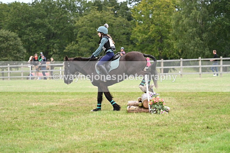 WJ7_7677 - 40cm Time 10:49 to 11:18