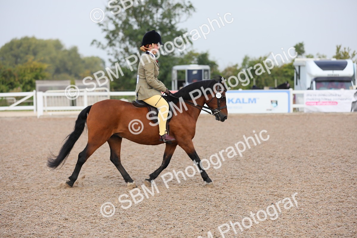 SBM_09616 - Class 301 Ridden M&M -Small Breeds