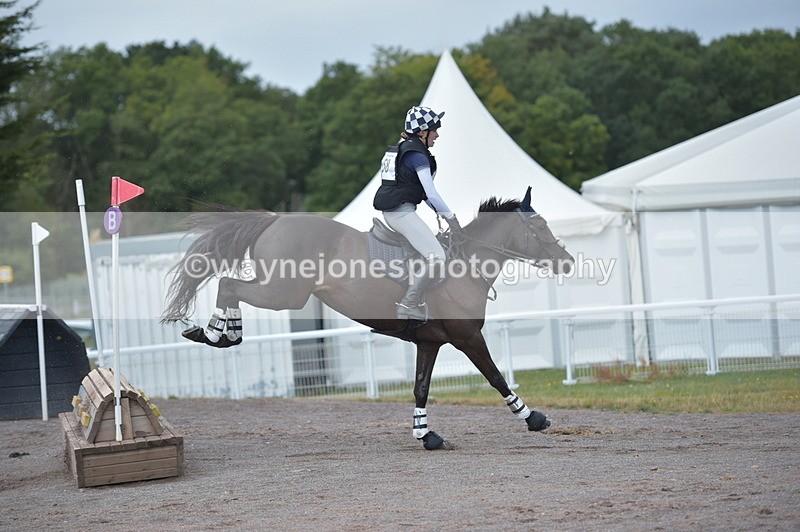 NGP_2363 - XC Time 11:20 to 11:36