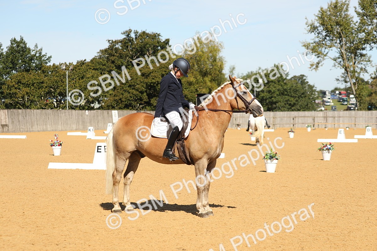 SBM_19757 - D10 - Small Tour Championship - Prelim 2