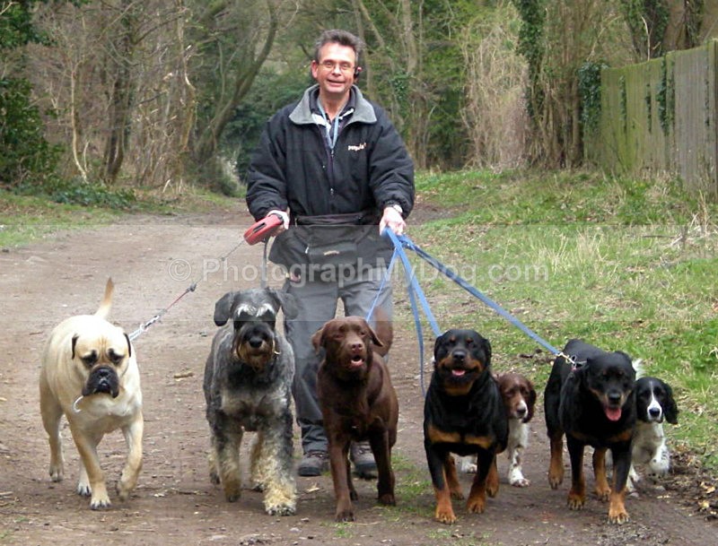  - Man's Best Friend