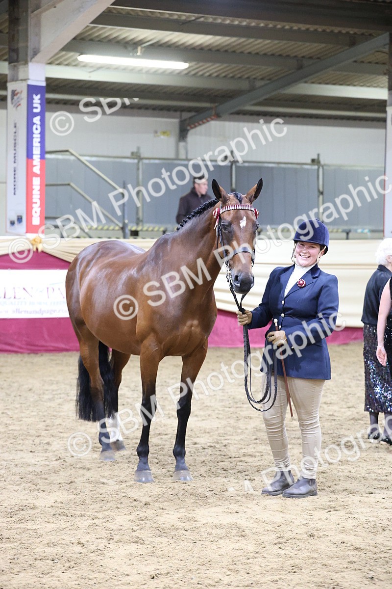 SBM_20378 - Class E - Best Turned Out Champ