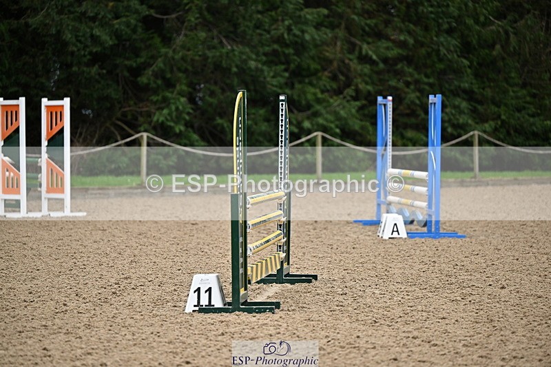 250201A-092905-00003 - Cls 01 Local Horse 90cm