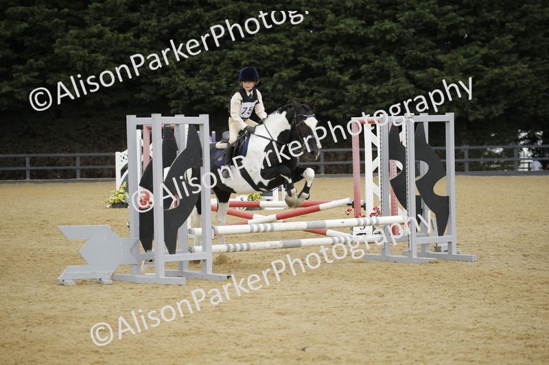 20250622-6348 - 60cm