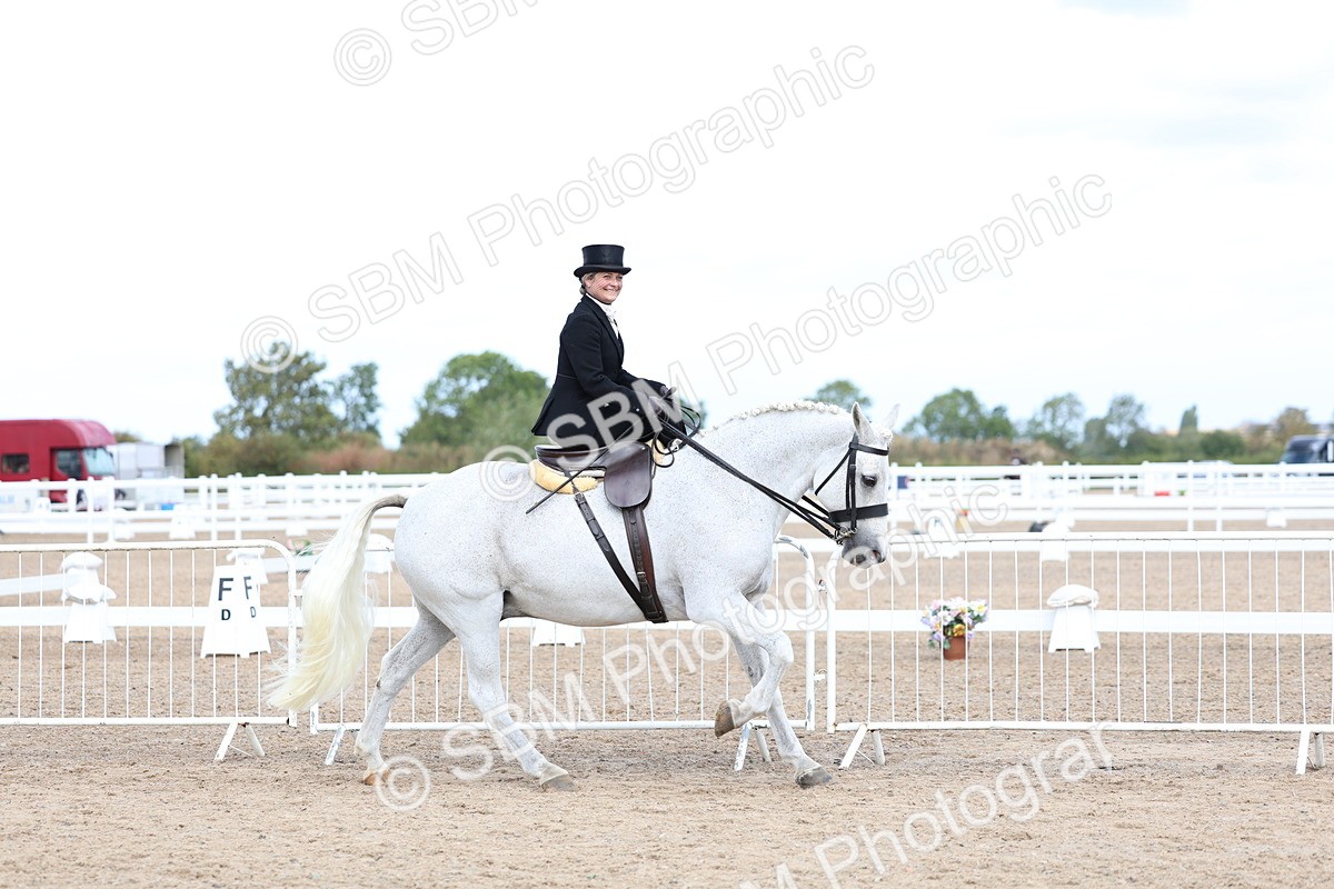 SBM_03191 - Class 22 - SSA Equitation (any age)