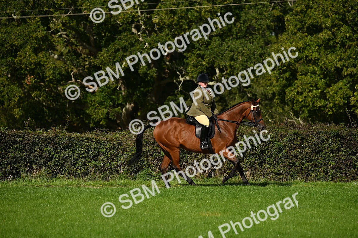 SBM_01472 - S2 - TSR Ridden Horse Showing