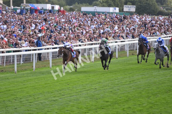 yr20082022r3-18 - Race 3 3.00pm Sky Bet City of York Stakes