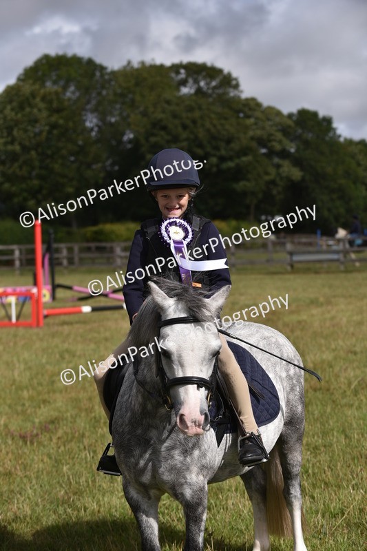 20250831-0509 - Class 7 - Absolute Novice 35cm