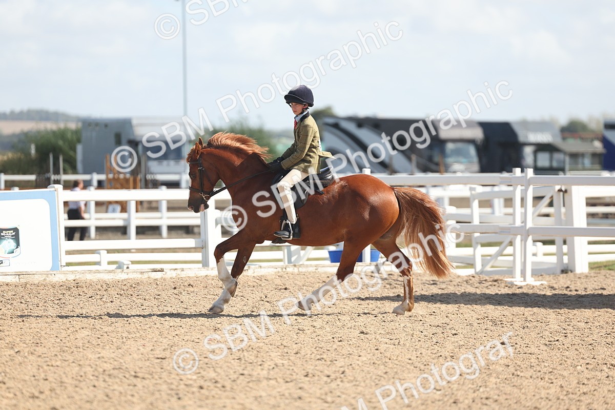 SBM_23076 - Class 806 - Young Rider 10ry and Under