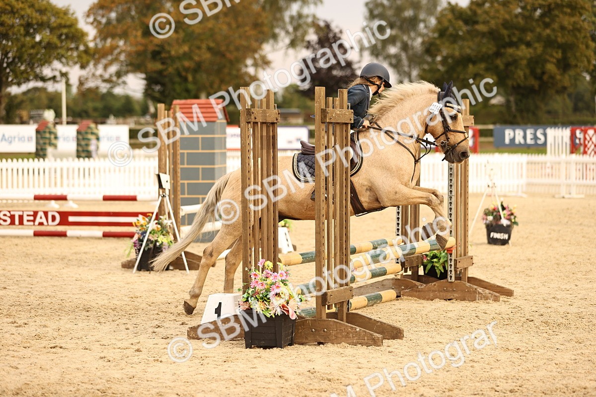 SBM_74461 - J14 - Junior Pony 65cm Championship
