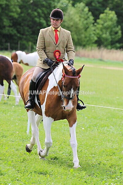 SIAL3861 - Ring 3 and 4