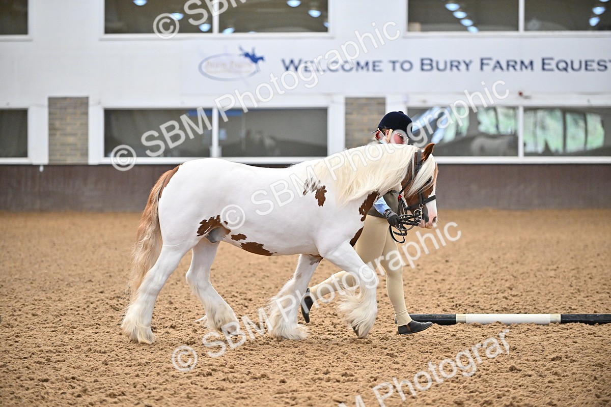 SBM_000298 - Class 10 - In Hand Coloured & Odd Coloured