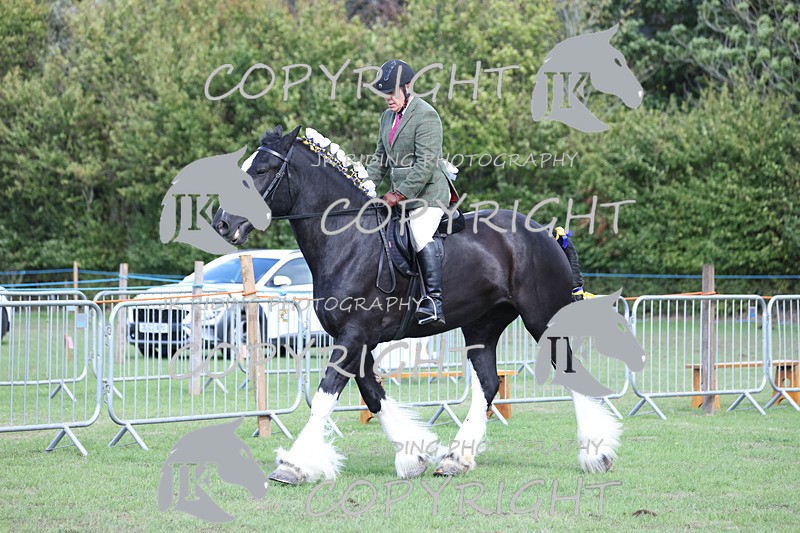 APP_3663 - Class 8 Ridden Class